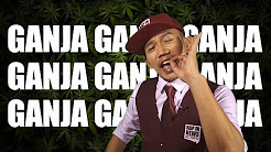 RAP IN NEWS - LEGALISASI GANJA