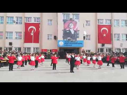 Ham çökelek 1-D sınıfı