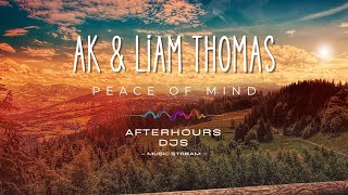 AK x Liam Thomas  - Peace Of Mind (#ambient)