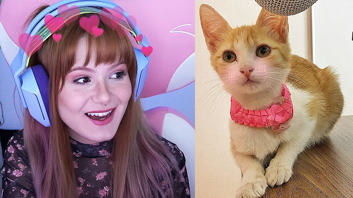 ADOTEI UMA NOVA GATINHA
