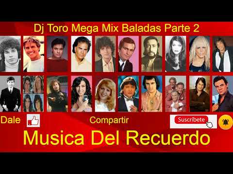 Dj Toro Mega