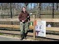 Zoo to You: Warthog training with Kayla