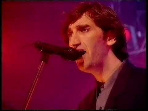 Jimmy Nail Crocodile Shoes On Top Of The Pops Youtube