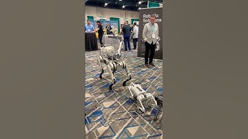 With almost $10k you can buy this cute robot dog!! #robotdog #ai #robot #technology #automation