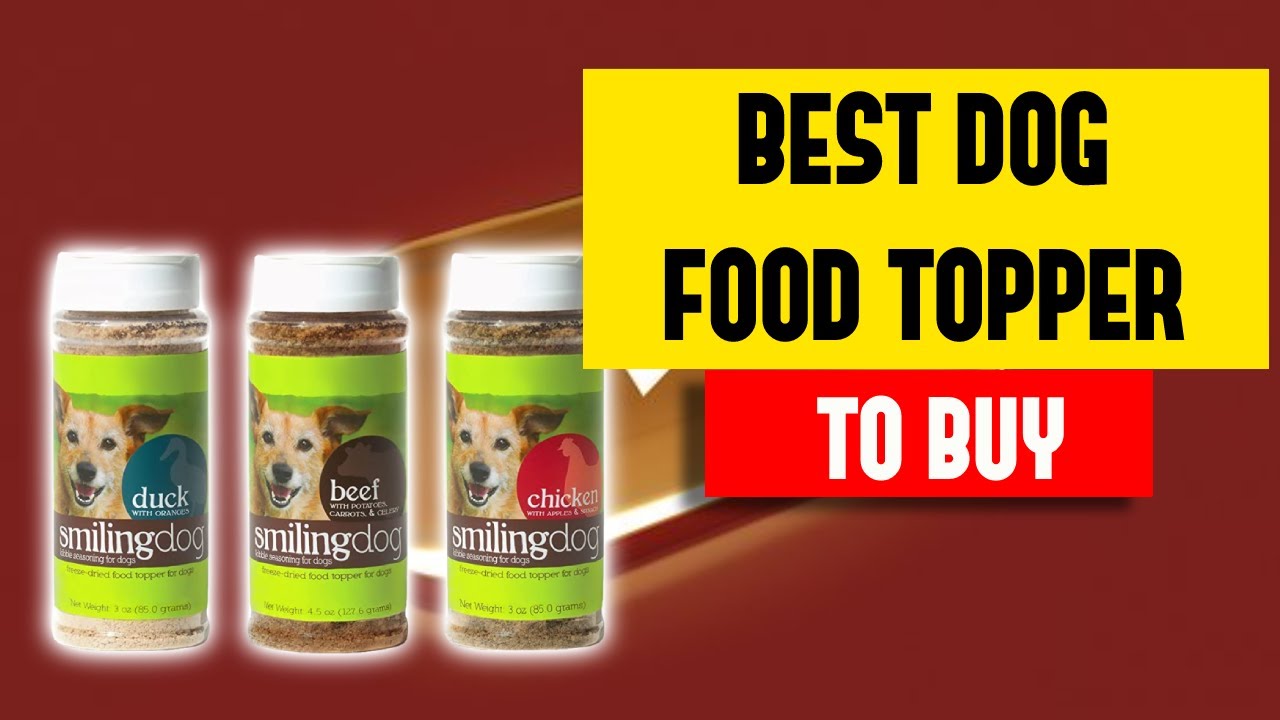 Dog Food Toppers for Picky Eaters YouTube