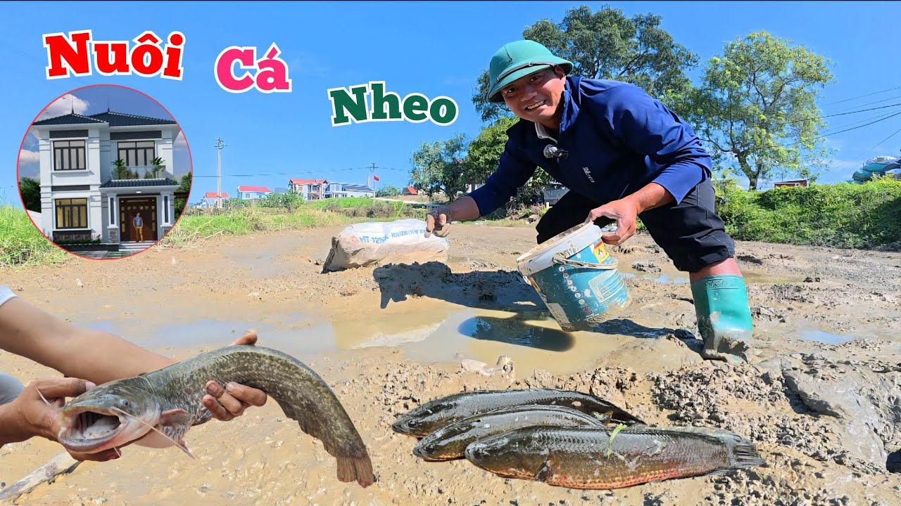 Lộ Diện Ngôi Nhà Mới Và Nuôi Thêm Cá Nheo Xem Sao...