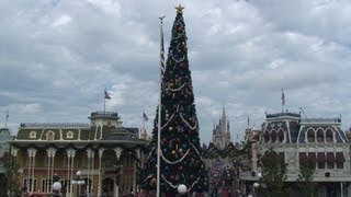 Magic Kingdom Christmas Tree 2012, Walt Disney World