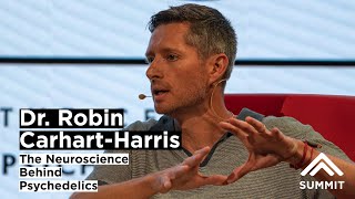 The Neuroscience Behind Psychedelics with Top Neuroscientist Professor Robin CarhartHarris