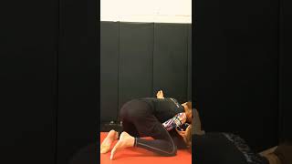 No Gi Butterfly Guard Pass #grappling #jiujitsu #wrestling #bjj #mma #jiujitsugrappling #rolling