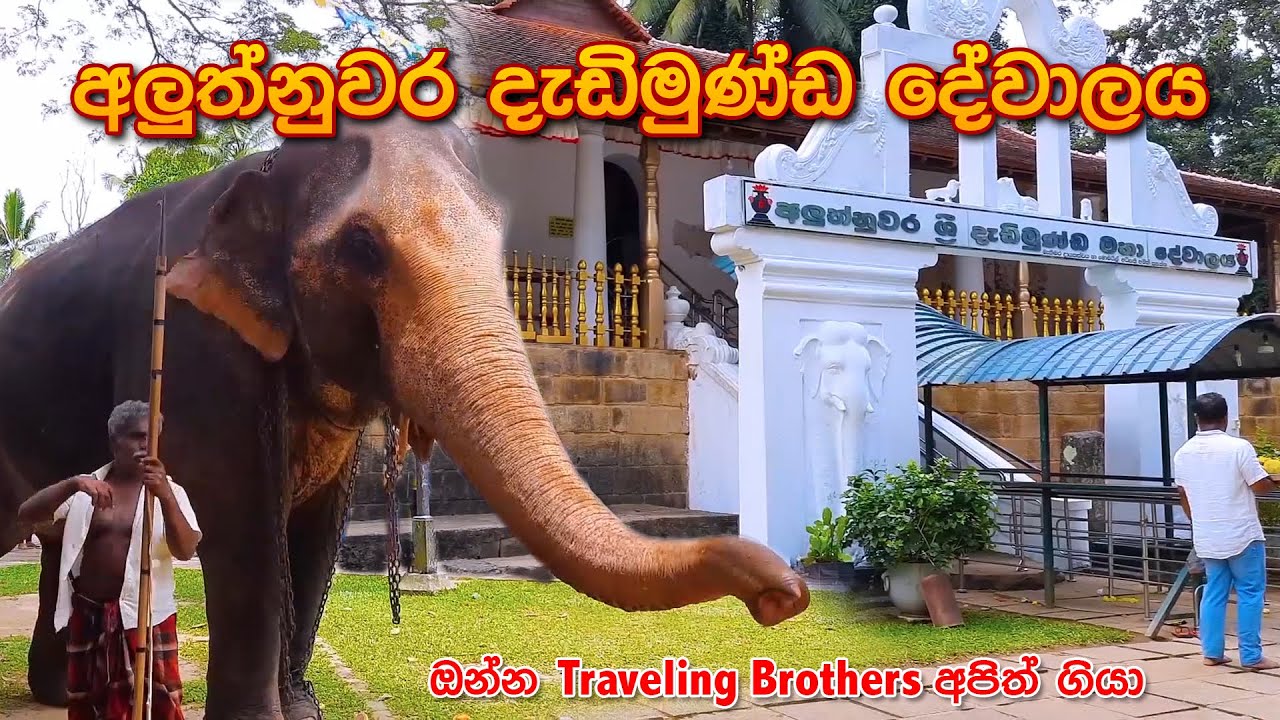 අලුත්නුවර ශ්‍රී දැඩිමුණ්ඩ දේවාලයට ගිය Traveling Brothers | Aluthnuwara Sri Dadimunda Dewalaya