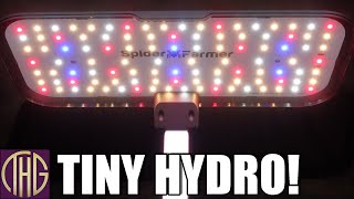 Tiny Hydroponic Grow! Unbox And Assemble Spider Farmer G12 Indoor Grow System!