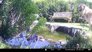 IMAG11207