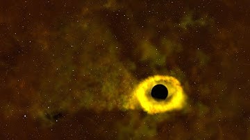 TESS Catches its First Star destroying Black Hole