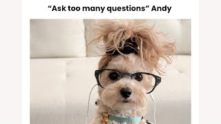 When “ask too many questions” Andy strikes again