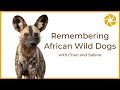 Remembering African Wild Dogs - With Charl and Sabine.