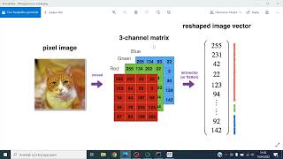 Python OpenCV - Şekil İşlemleri - Resim seçme uzatma yeniden boyutlandırma