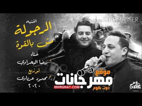 اغنية الرجولة مش بلقوة رضا البحراوى توزيع محمود عرباوى برودكشن شغل هيكسر الدنيا 2020