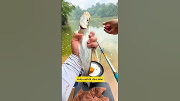 Câu cá trời mưa cùng mình nhé (P3) #cauca #câucá #caucachep