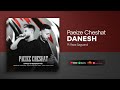 Danesh Feat Reza Sagvand Paeize Cheshat Official Track