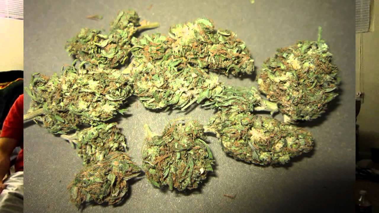 The Higher Channel - Purple Trainwreck - Blunt Review - CVKC - TheHigherChannel