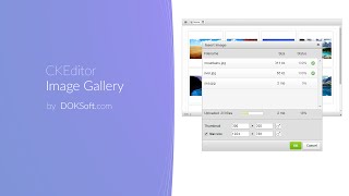 Ckeditor Image Gallery Demo