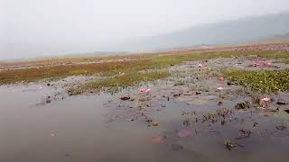 VID 20240127 085717