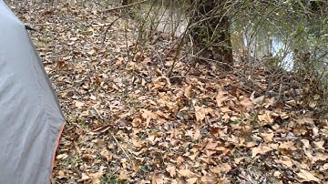 My Hammock Sleep System
