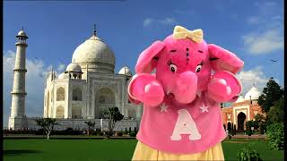 Zoo Troop Music Mania Live Show