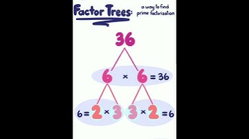 What are factor trees? / Prime factorization of 36? #basicmaths