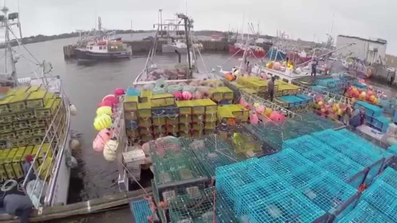 Yarmouth Lobster Fleet Loading The Gear YouTube