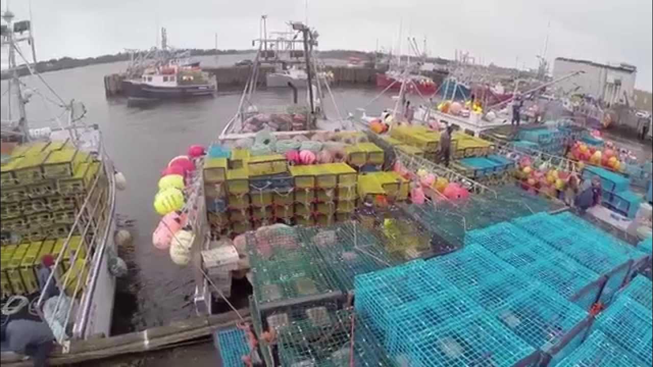 Yarmouth Lobster Fleet Loading The Gear YouTube