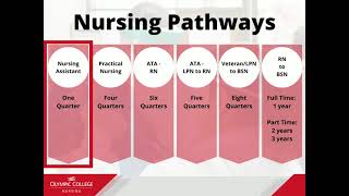 Nursing Program Overview