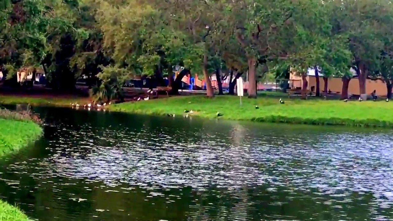 Natural beauty of Oak Grove Park in North Miami! YouTube