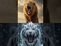 Lion VS Black Panther (leopard, hyena, jaguar, white tiger)
