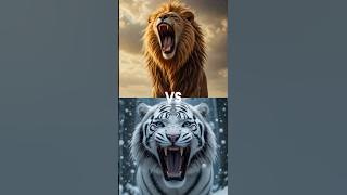 Lion VS Black Panther (leopard, hyena, jaguar, white tiger)