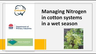 CottonInfo webinar: Managing nitrogen screenshot 3