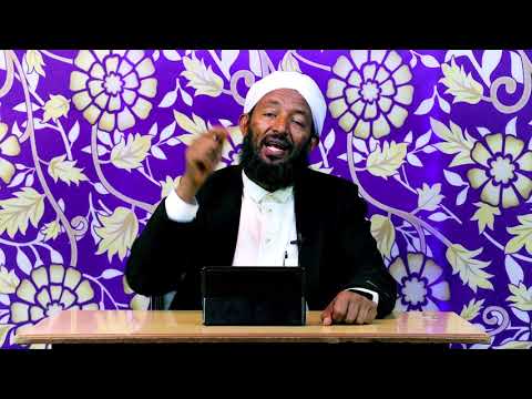 Sheikh Alii JImmaa Waliin Dhaamsa Jabaa Irra Haa Fayyadamnuu