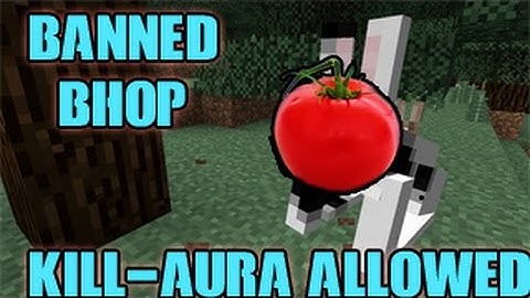 Banned For Bhop Not Kill-Aura | Tomato Hack Client