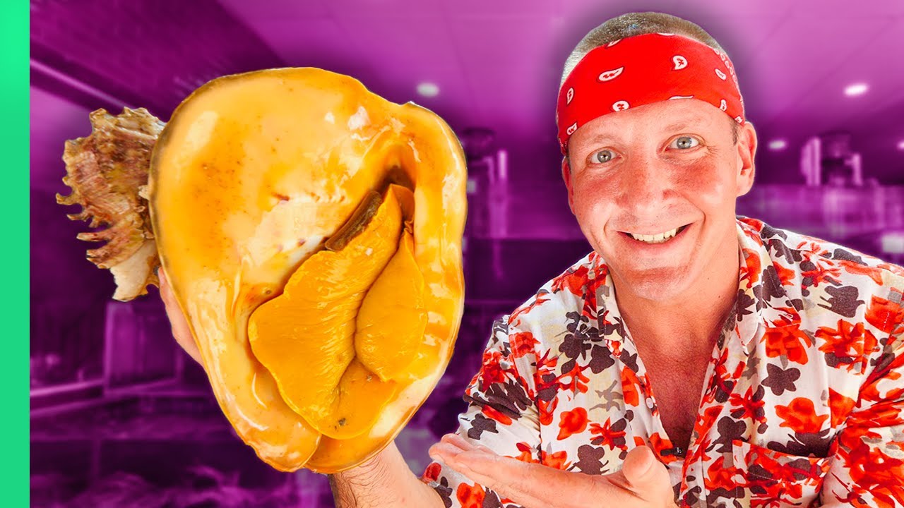 Eating Rare Giant Sea Snails 2.0!!! Never Filmed Before!! | Best Ever Food Review Show