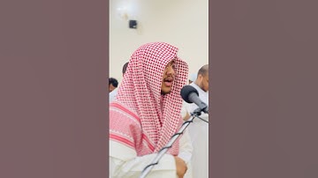 ‏هذا خلق الله🌸🤍 القارئ محمد عبدالله الحسني