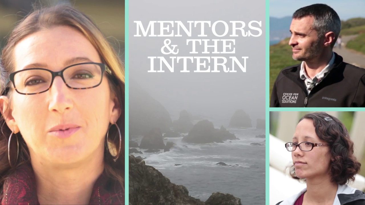 Series of Solutions:  Mentors & the Intern