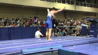 Alex Diab - Vault - 2015 Winter Cup Finals