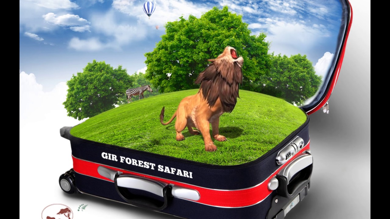 Plan Gir Forest Safari at The Fern Gir resort