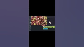 How to Color Change in Kinemaster ll Color effect Tutorial in Hindi ll Easy Step by Step...!!