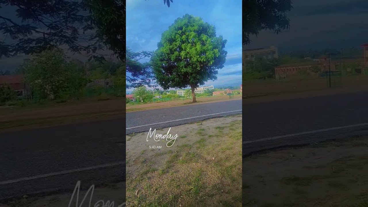 Hazaribagh VBU University 