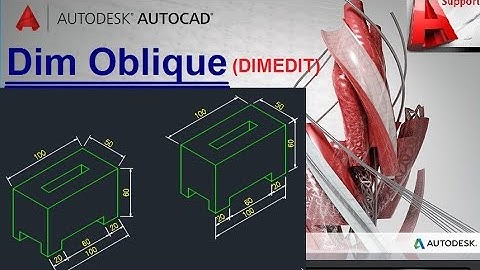 Dim Oblique Command in AutoCad II Hindi-Urdu