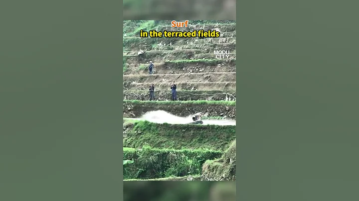 Surf in the terraced fields - 天天要闻