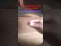 Part 2 Welcome to the Puppies ASMR to chips