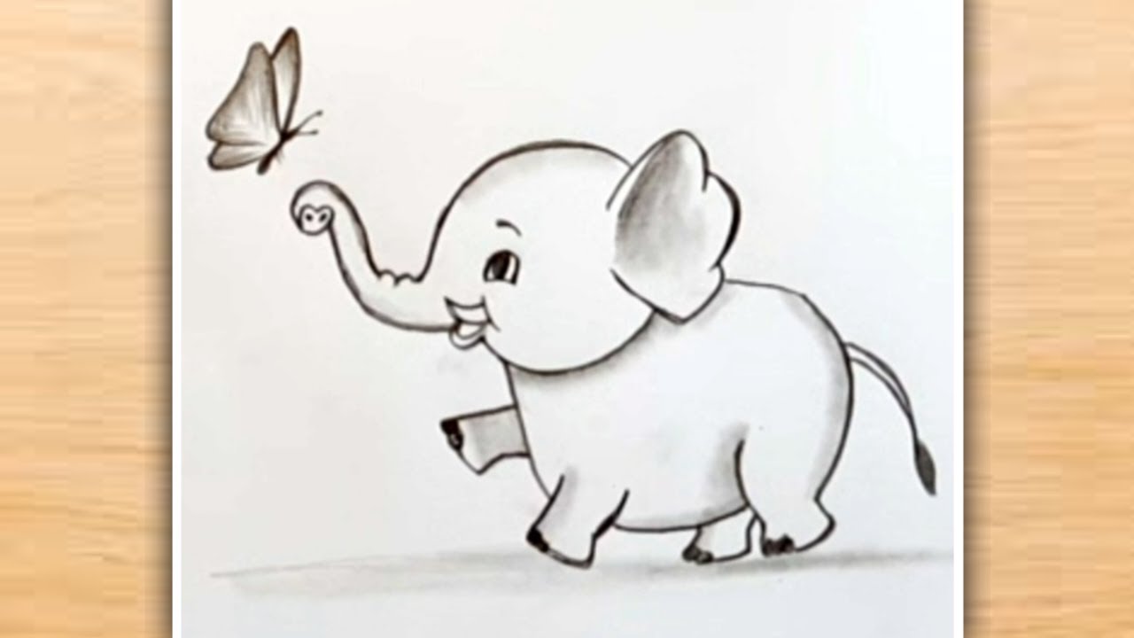 Baby Elephant Playing with Butterfly Drawing| Pencil Drawing ...