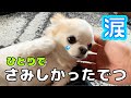 犬と雨の散歩から帰ったら、予想もしない可愛い光景が飛び込んで来ました😍